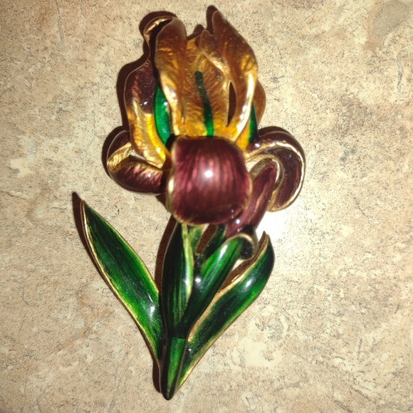 Boston MFA (Museum of Fine Arts) IRIS Enamel Brooch - Picture 4 of 13